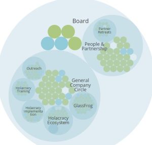 Met Holacracy vermijd je veel voorkomende problemen met traditionele leiderschapsstructuren